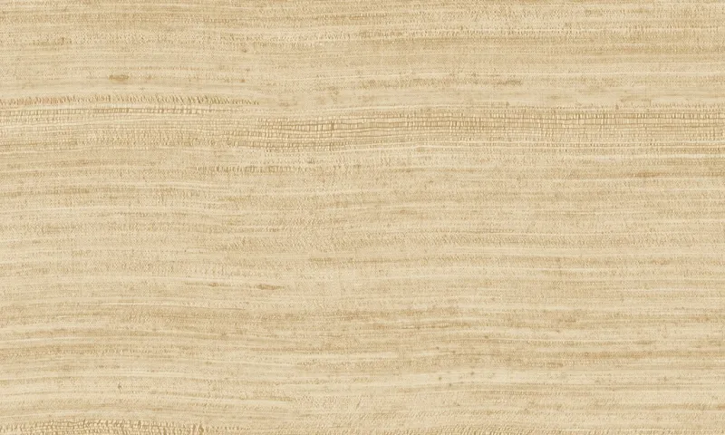 Обои для стен Arte Expedition 72024