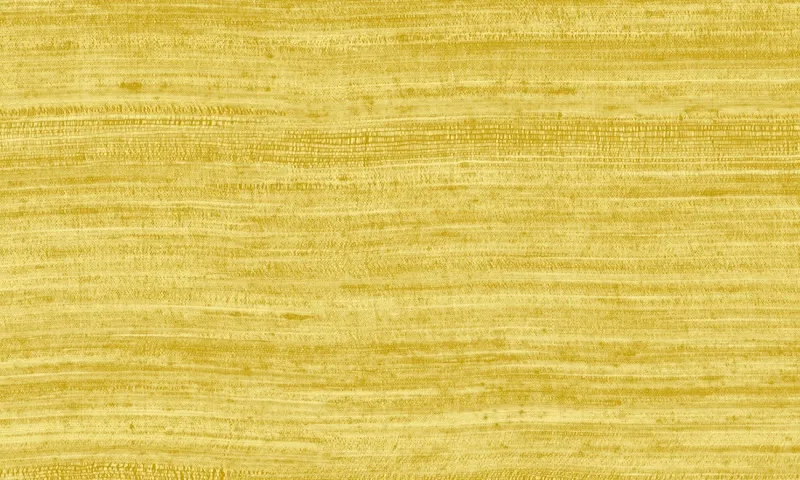 Обои для стен Arte Expedition 72029