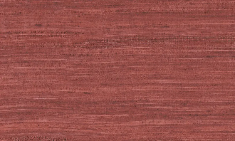 Обои для стен Arte Expedition 72030