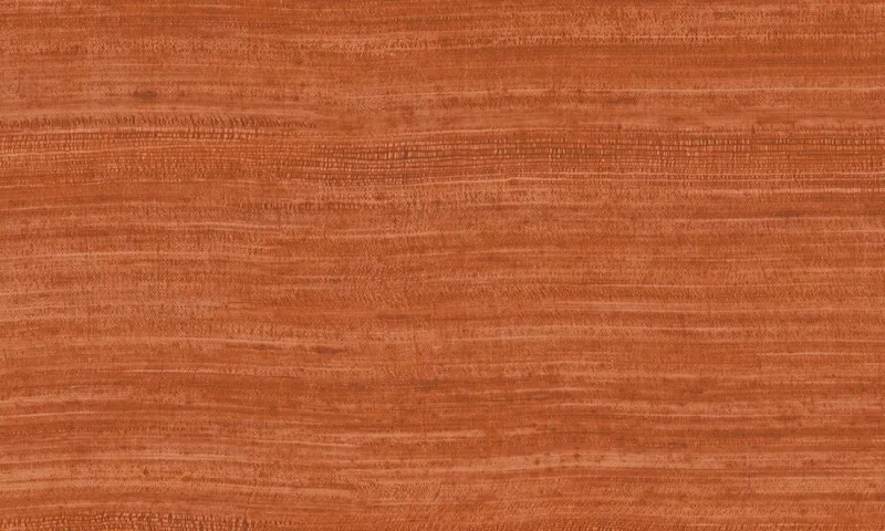 Обои для стен Arte Expedition 72036