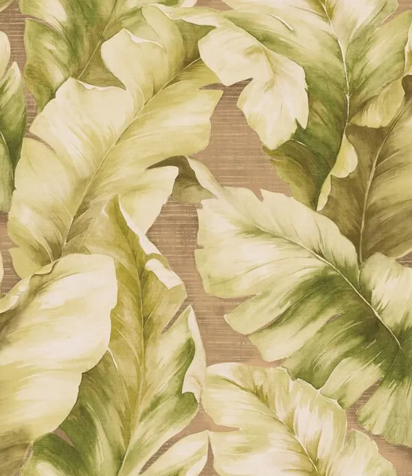 Обои для стен Studio Eight Trinidad TR20304