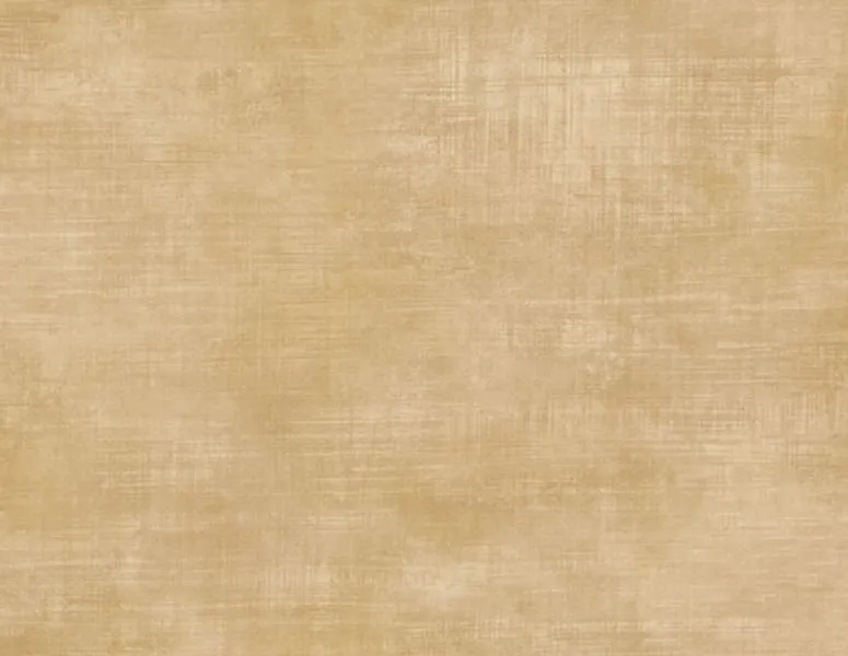 Обои для стен Studio Eight Trinidad TR20801