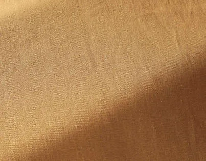 Ткань Pierre Frey Wide width linens F3386007