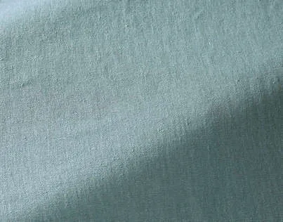 Ткань Pierre Frey Wide width linens F3386013