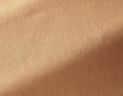 Ткань Pierre Frey Wide width linens F3387008