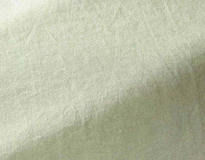 Ткань Pierre Frey Wide width linens F3387013