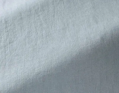 Ткань Pierre Frey Wide width linens F3387015