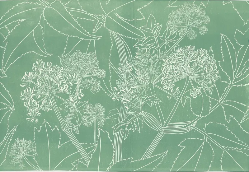 Обои для стен Hamilton Weston The Marthe Armitage wallpapers Angelica-Single-Colour