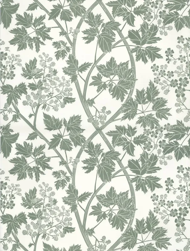 Обои для стен Hamilton Weston The Marthe Armitage wallpapers Blackberry-Dark-Sage