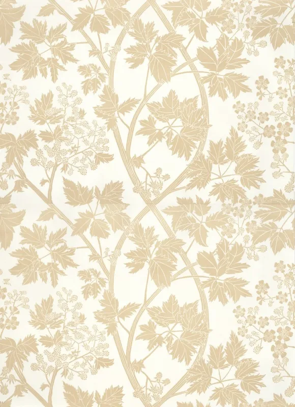 Обои для стен Hamilton Weston The Marthe Armitage wallpapers Blackberry-Sandstone