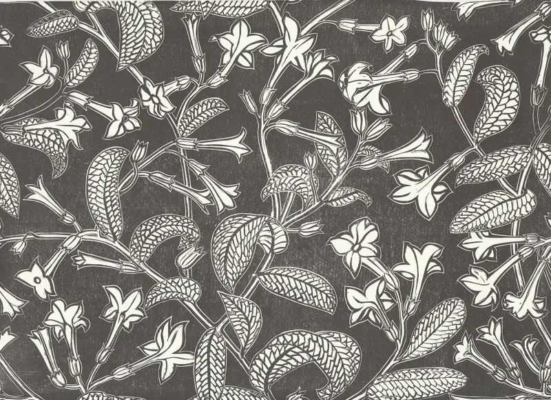 Обои для стен Hamilton Weston The Marthe Armitage wallpapers Tobacco-Plant-Black