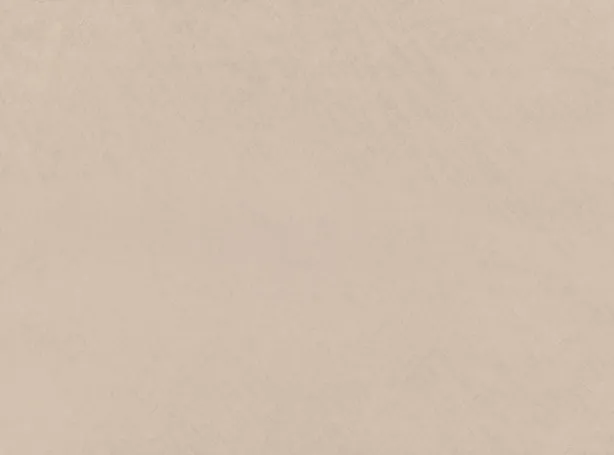 Ткань Zinc Elliott Z594-04