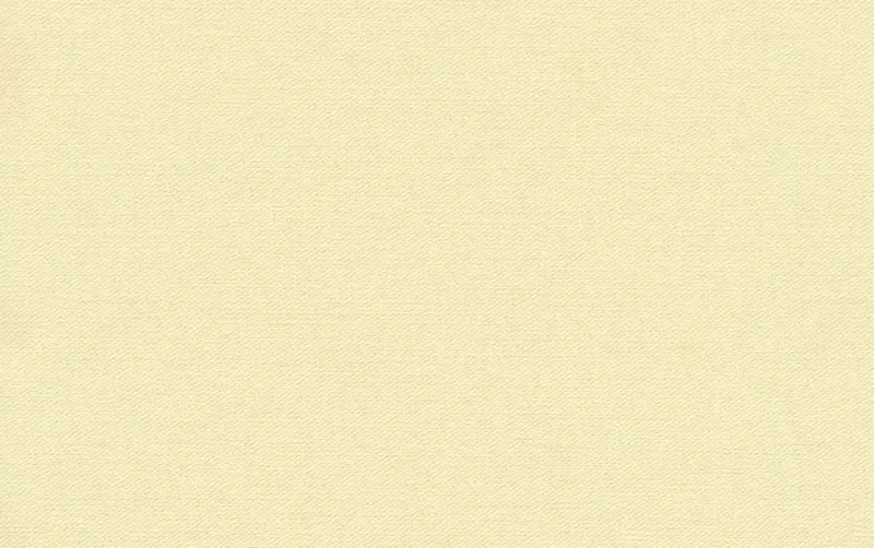 Обои для стен Shinhan Nova 88216-4