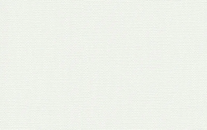 Обои для стен Shinhan Nova 88221-1