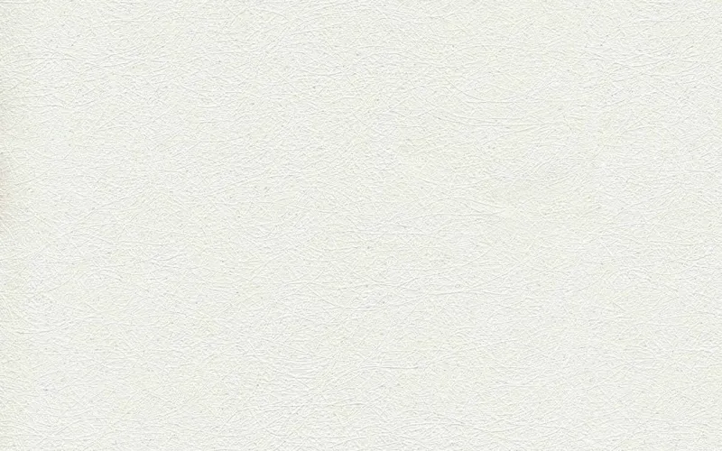 Обои для стен Shinhan Nova 88222-1