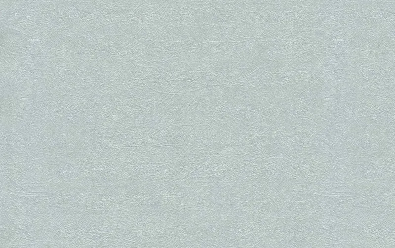 Обои для стен Shinhan Nova 88222-4