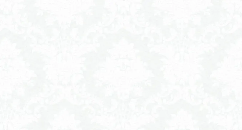 Обои для стен Shinhan Nova 88223-1