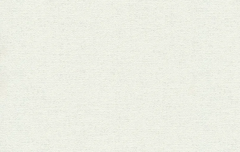 Обои для стен Shinhan Nova 88229-1