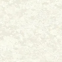 Обои для стен Today Interiors Transition fj30310