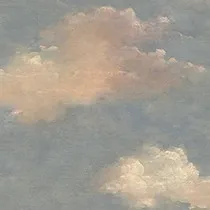 Обои для стен Today Interiors Transition fj30902