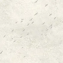 Обои для стен Today Interiors Transition fj31005