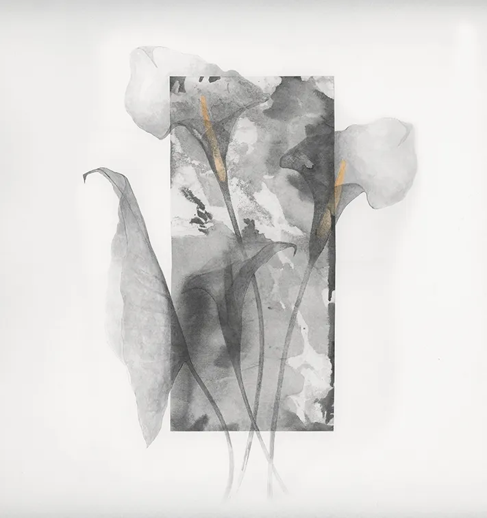 Обои для стен Wall&Deco CODE 2019 WET SYSTEM WET_GP1901