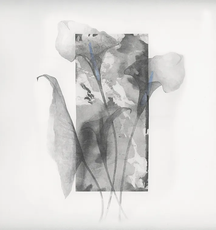 Обои для стен Wall&Deco CODE 2019 WET SYSTEM WET_GP1902