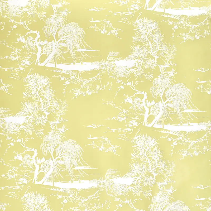 Обои для стен Dedar A Contre Jour Wall D20801_005