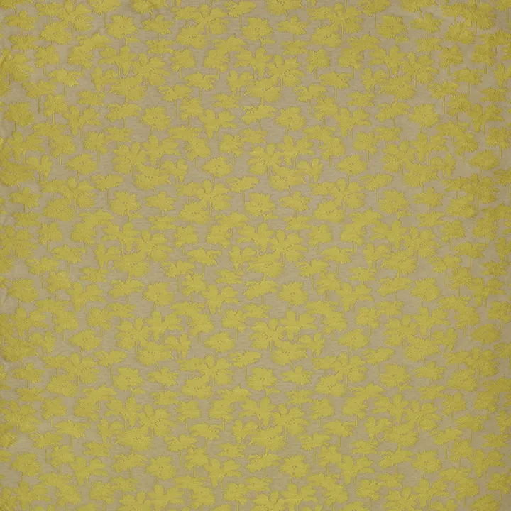 Ткань Dedar Be Bop A Lula T20017_005