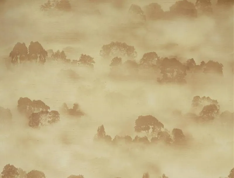 Обои для стен Jim Thompson Atmosphere JT021048002