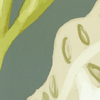 Обои для стен Elitis Flower power TP-305-02