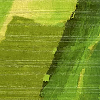 Обои для стен Elitis Anguille Big croco Legend VP_429_01