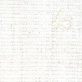 Обои для стен Elitis Raw raffia RM-975-01