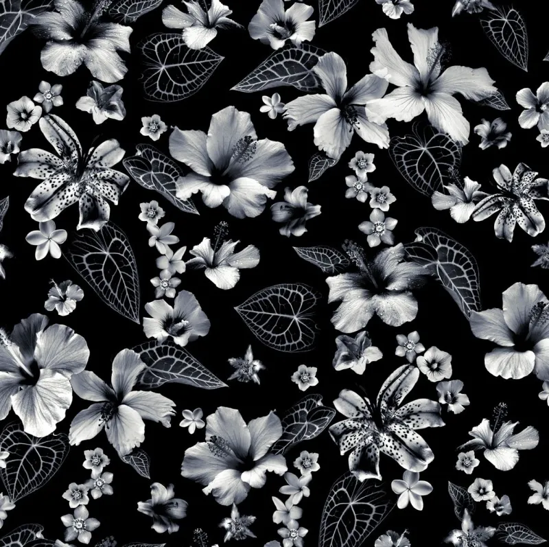 Обои для стен Jean Paul Gaultier Pop Rock 3340-01