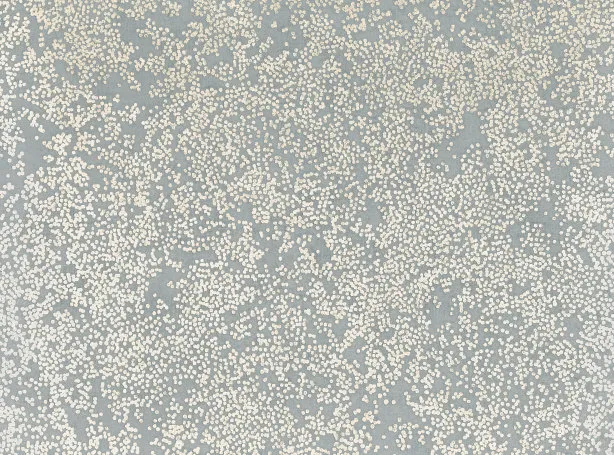 Обои для стен Romo Etsu Wallcoverings W424-05