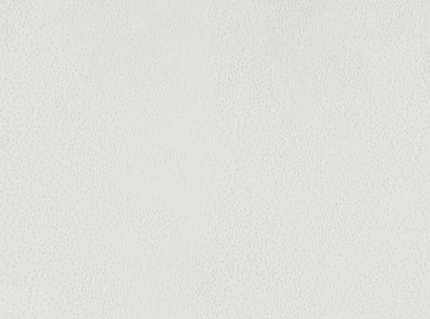 Ткань Villa Nova Ceto Sheers V3416-01