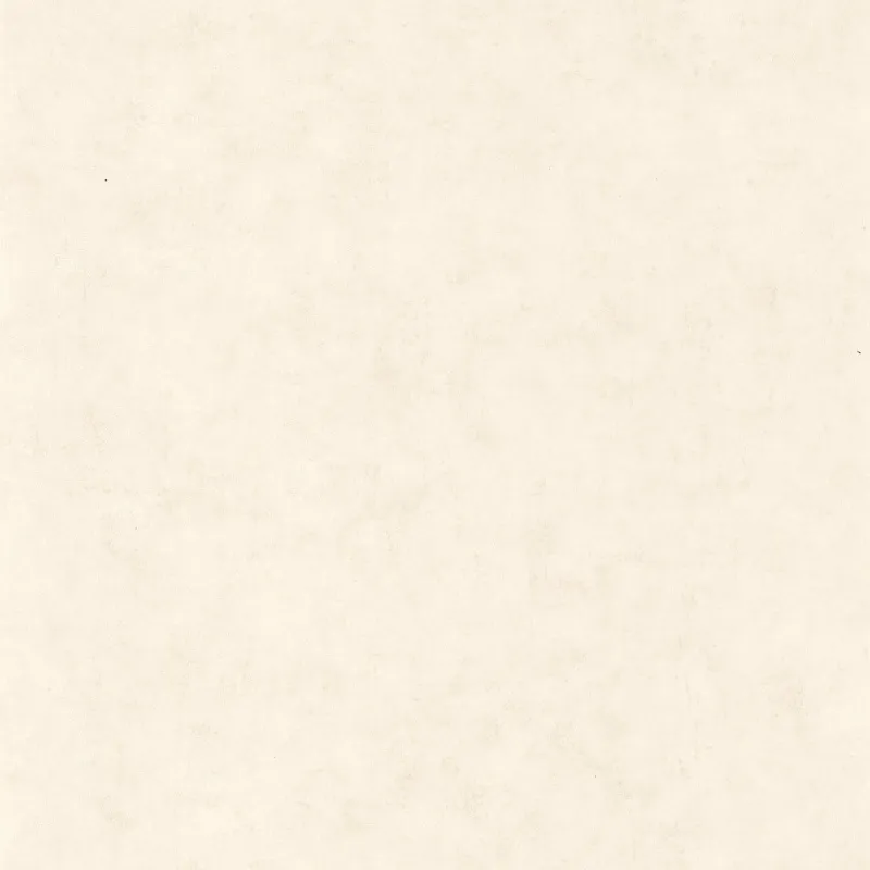 Обои для стен Caselio Beton 101480010