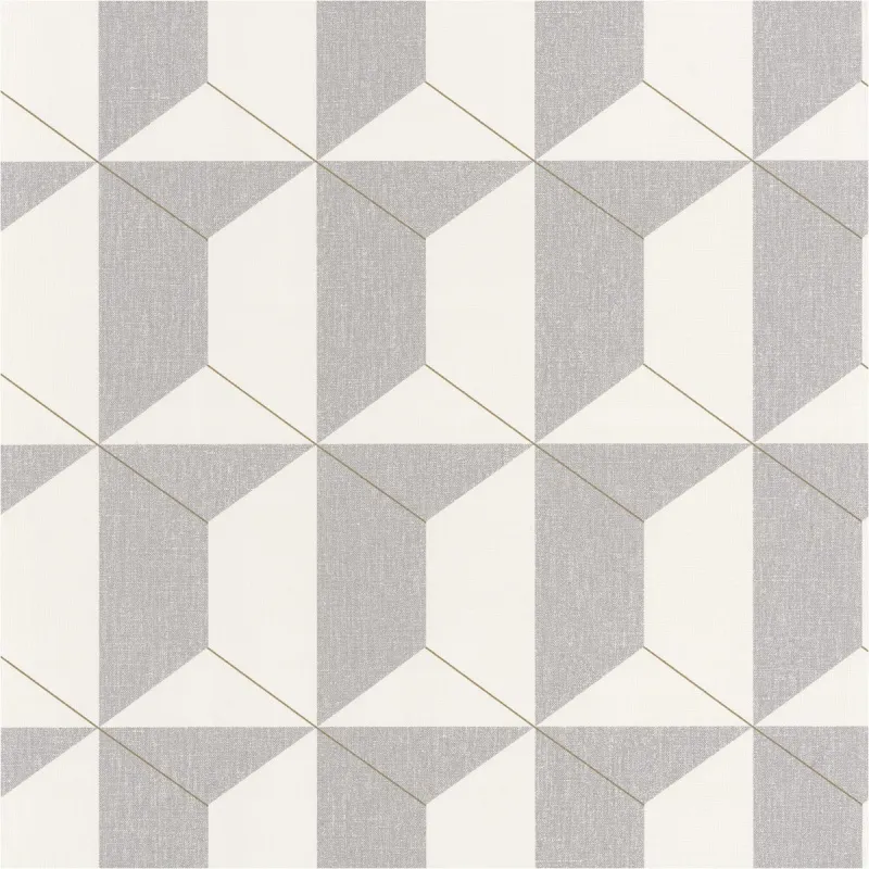 Обои для стен Caselio Moove 10133900