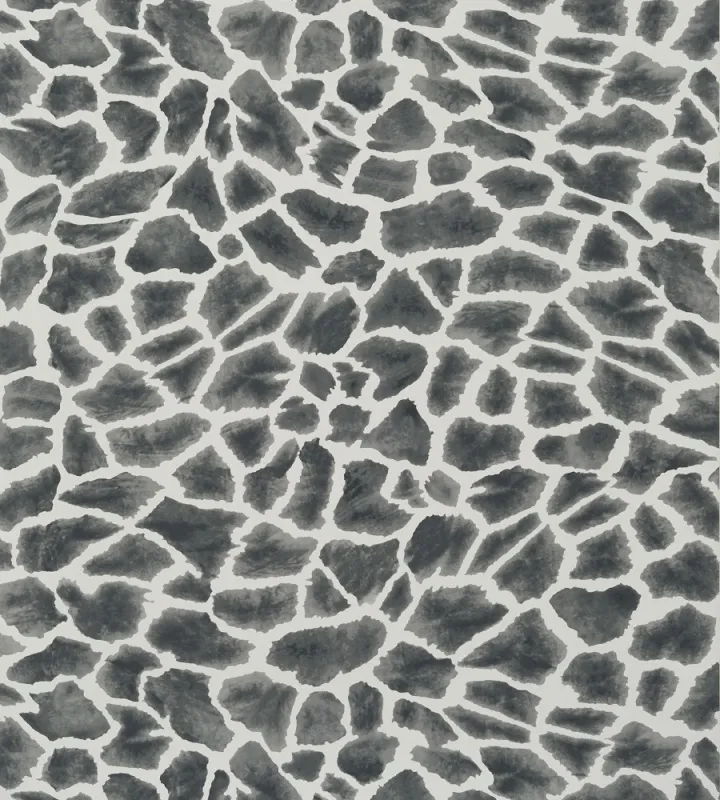 Обои для стен Thibaut Colony T10222