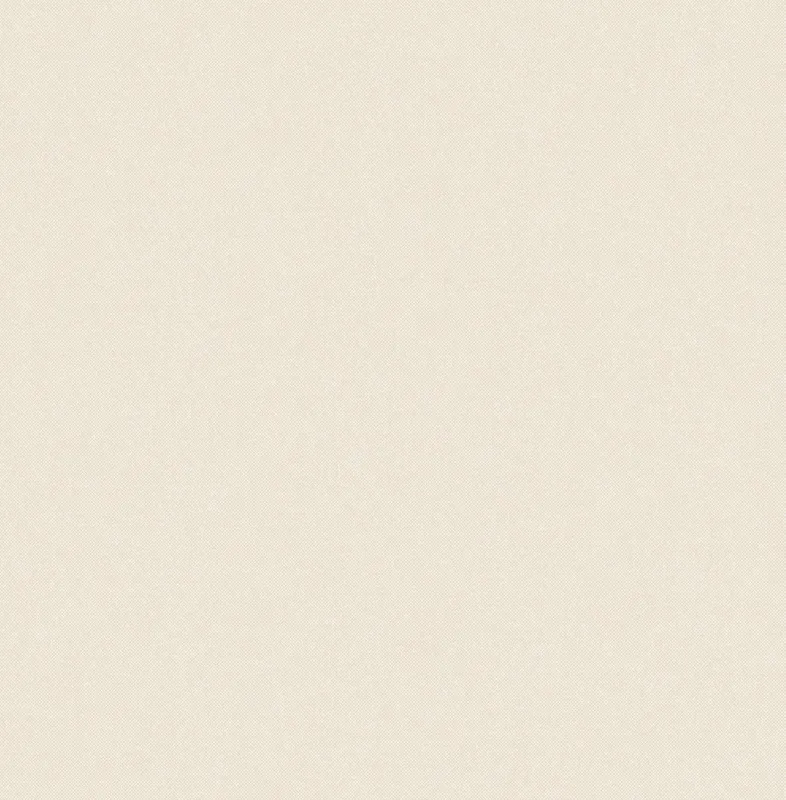 Обои для стен The Trendsetter Studio Roy RY1010