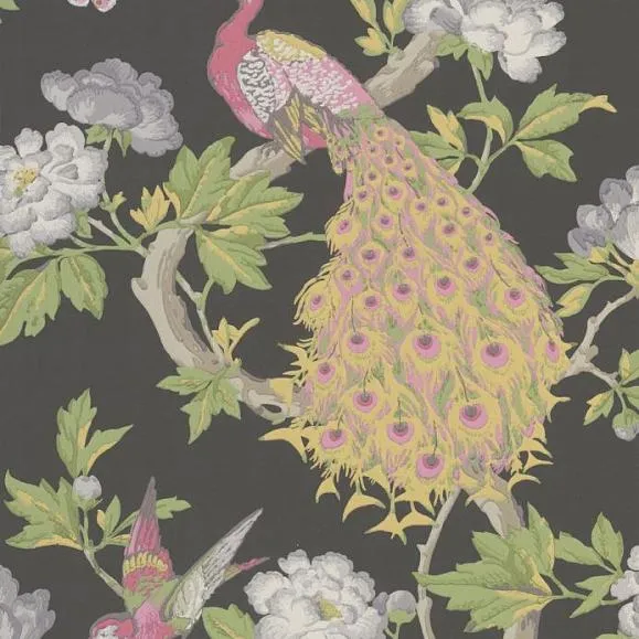 Обои для стен Little Greene National Trust Papers 0245PAMAEVE