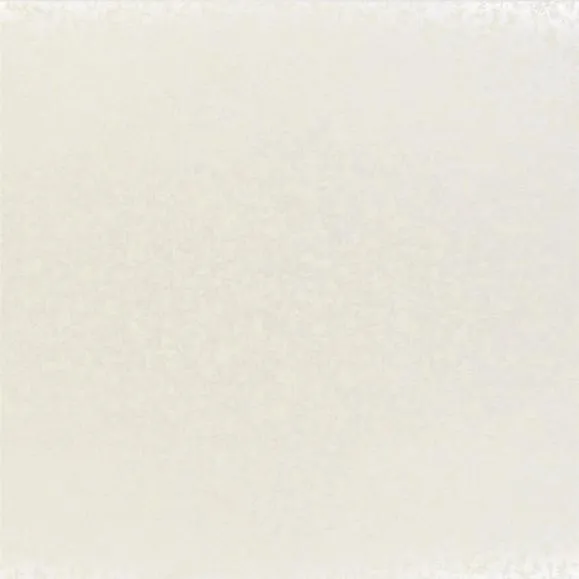 Обои для стен Designers Guild Plain & Textured Wallpaper Volume II P534-01