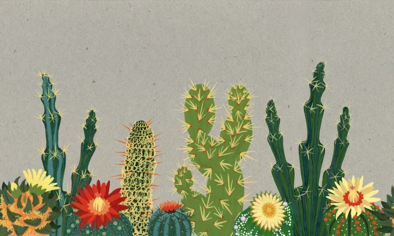 Обои для стен Hygge Wall Hygge Wall #1 H10201