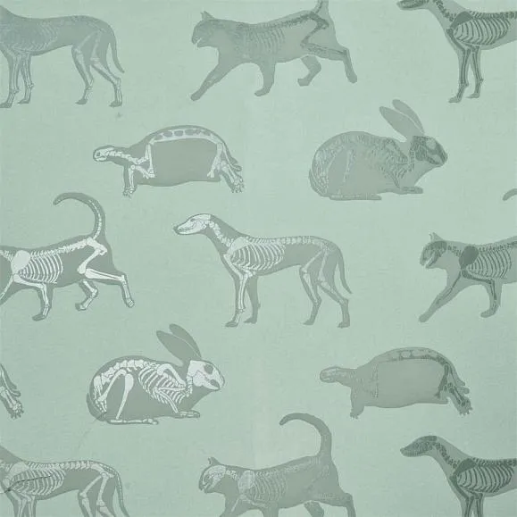 Обои для стен PaperBoy Our Wallpaper Animal Magic Wp Gre