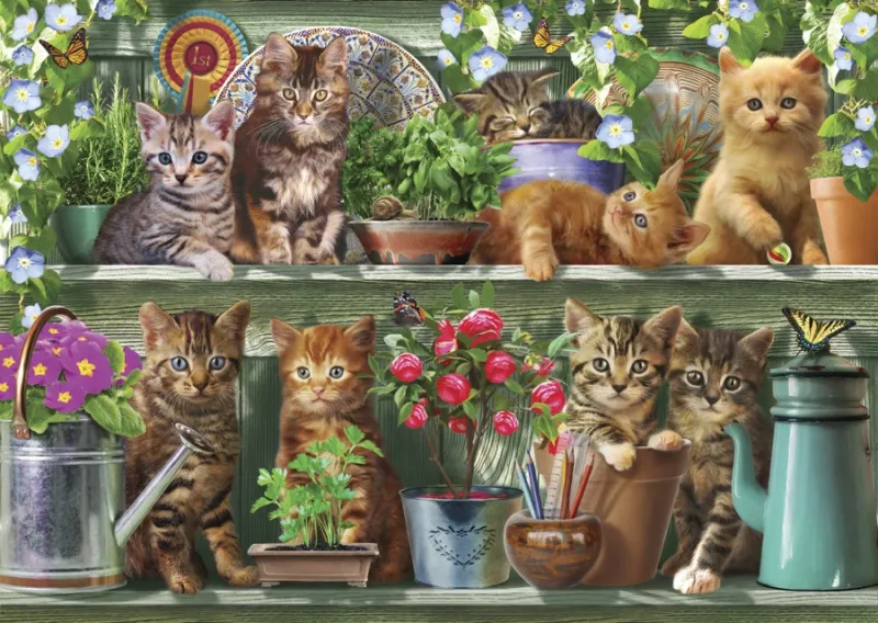 Обои для стен Ortograf Адриан Честерман OR 6243