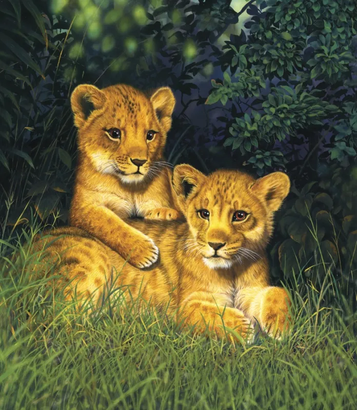 Обои для стен Ortograf Крис Хиетт OR 7400