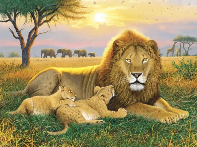 Обои для стен Ortograf Крис Хиетт OR 7406