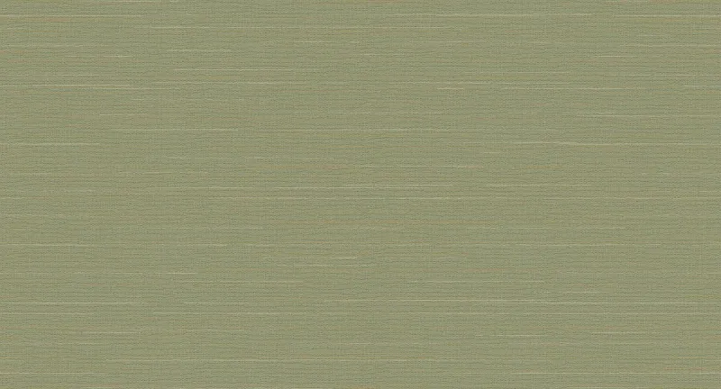 Обои для стен Loymina Amazonia INS9005-1