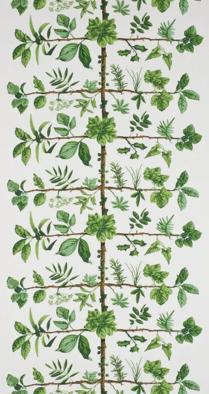 Обои для стен Pierre Frey Dessins Signatures fp169001