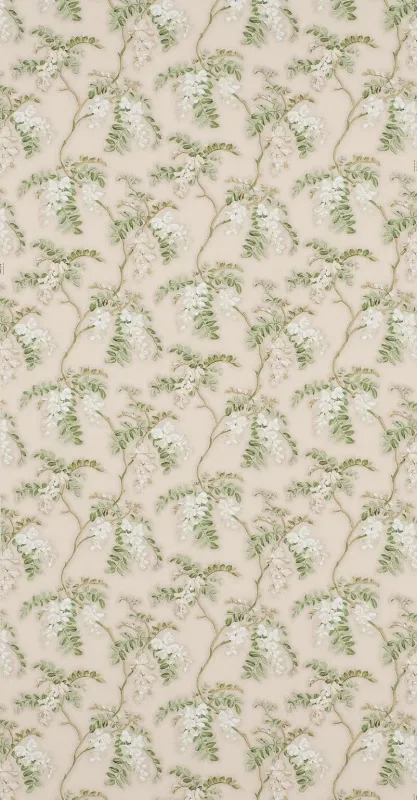 Обои для стен Pierre Frey Dessins Signatures fp172001